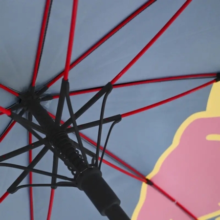 PARASOL RED BULL Racing SPARCO ORACLE
